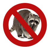 Raccoon control solutions